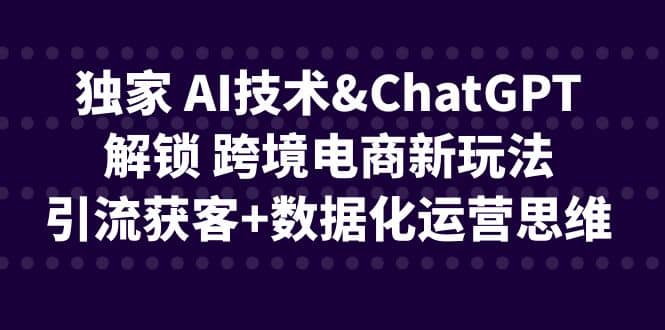 独家 AI技术ChatGPT解锁 跨境电商新玩法，引流获客+数据化运营思维-搞钱帮