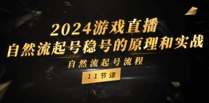 2024游戏直播-自然流起号稳号的原理和实战，自然流起号流程（11节）-搞钱帮