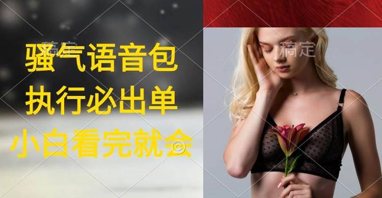 执行就出单，日入2000+，超火骚气语音包，小白看完课程就能马上实操-搞钱帮
