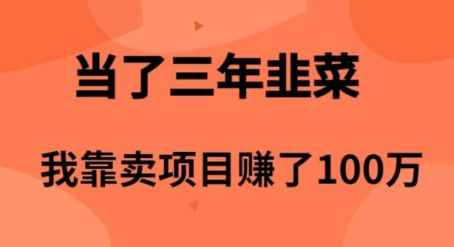 当了3年韭菜，我靠卖项目赚了100万-搞钱帮