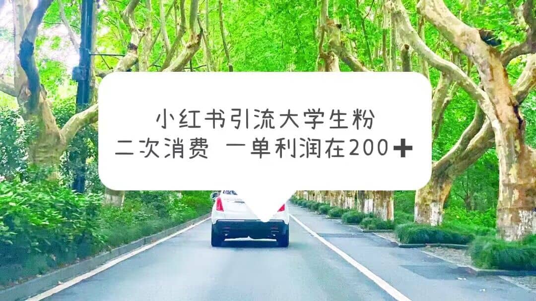 小红书引流大学生粉，变现项目，一单利润在200+（教程+资源）-搞钱帮