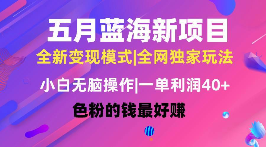 五月蓝海项目全新玩法，小白无脑操作，一天几分钟，矩阵操作，月入4万+-搞钱帮