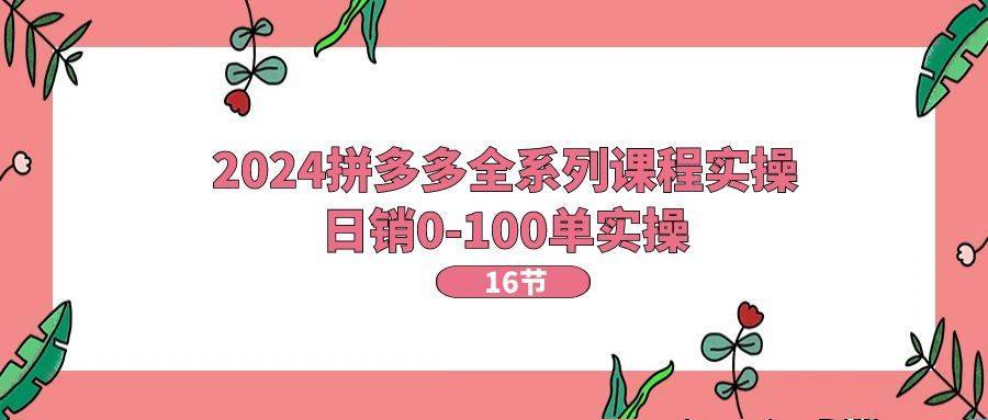 2024拼多多全系列课程实操，日销0-100单实操【16节课】-搞钱帮