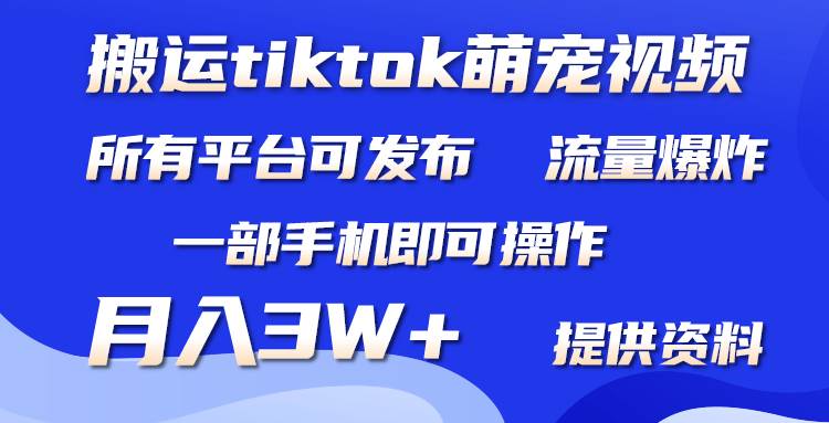 搬运Tiktok萌宠类视频，一部手机即可。所有短视频平台均可操作，月入3W+-搞钱帮