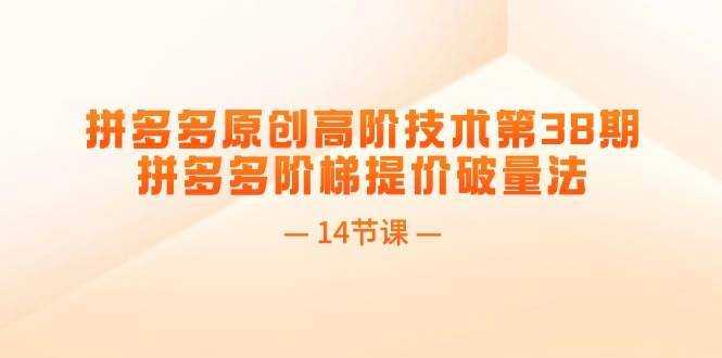拼多多原创高阶技术第38期，拼多多阶梯提价破量法（14节课）-搞钱帮