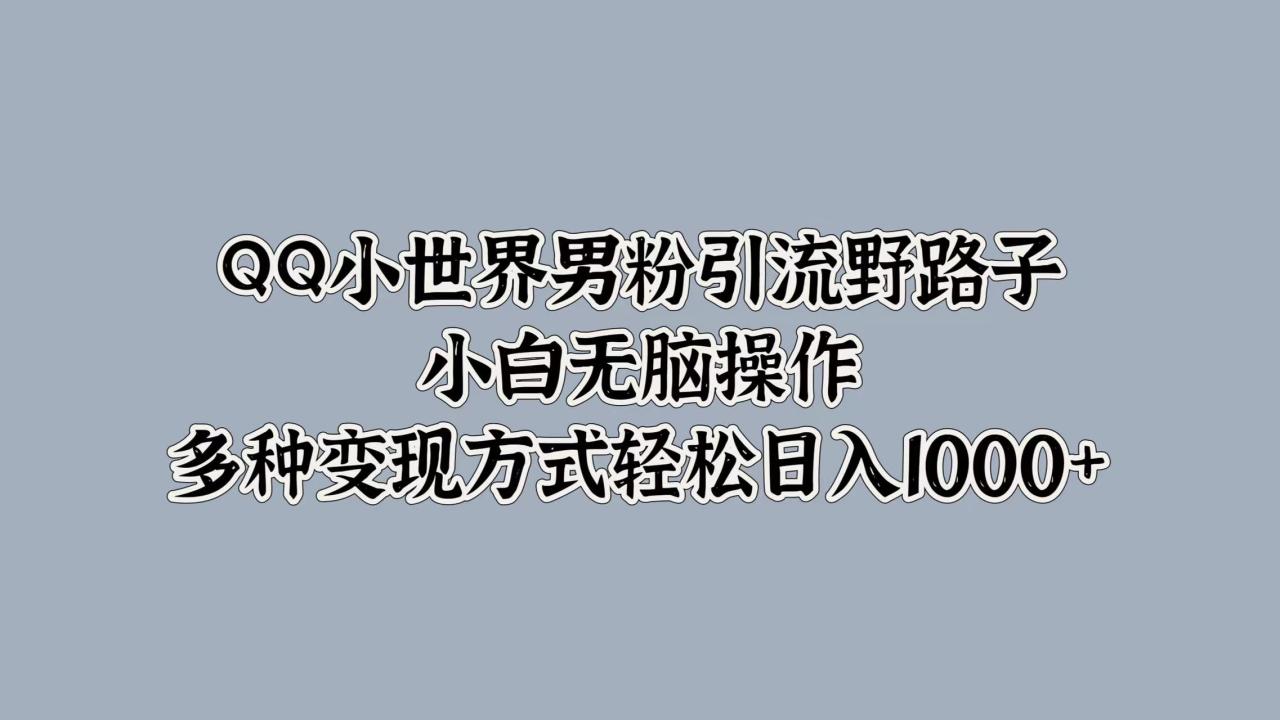 QQ小世界男粉引流野路子，小白无脑操作，多种变现方式轻松日入1000+-搞钱帮