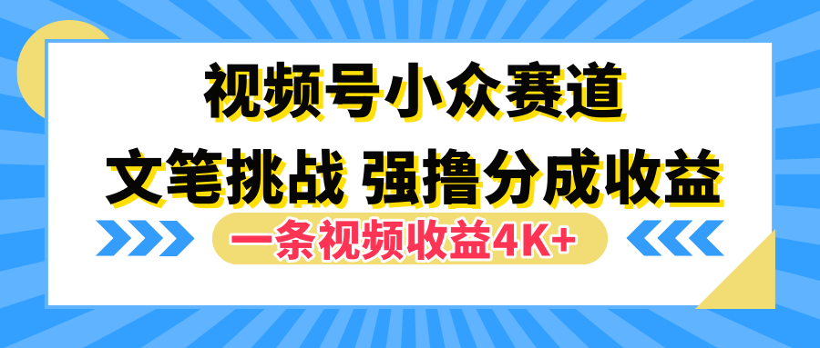 视频号小众赛道，文笔挑战，一条视频收益4K+-搞钱帮