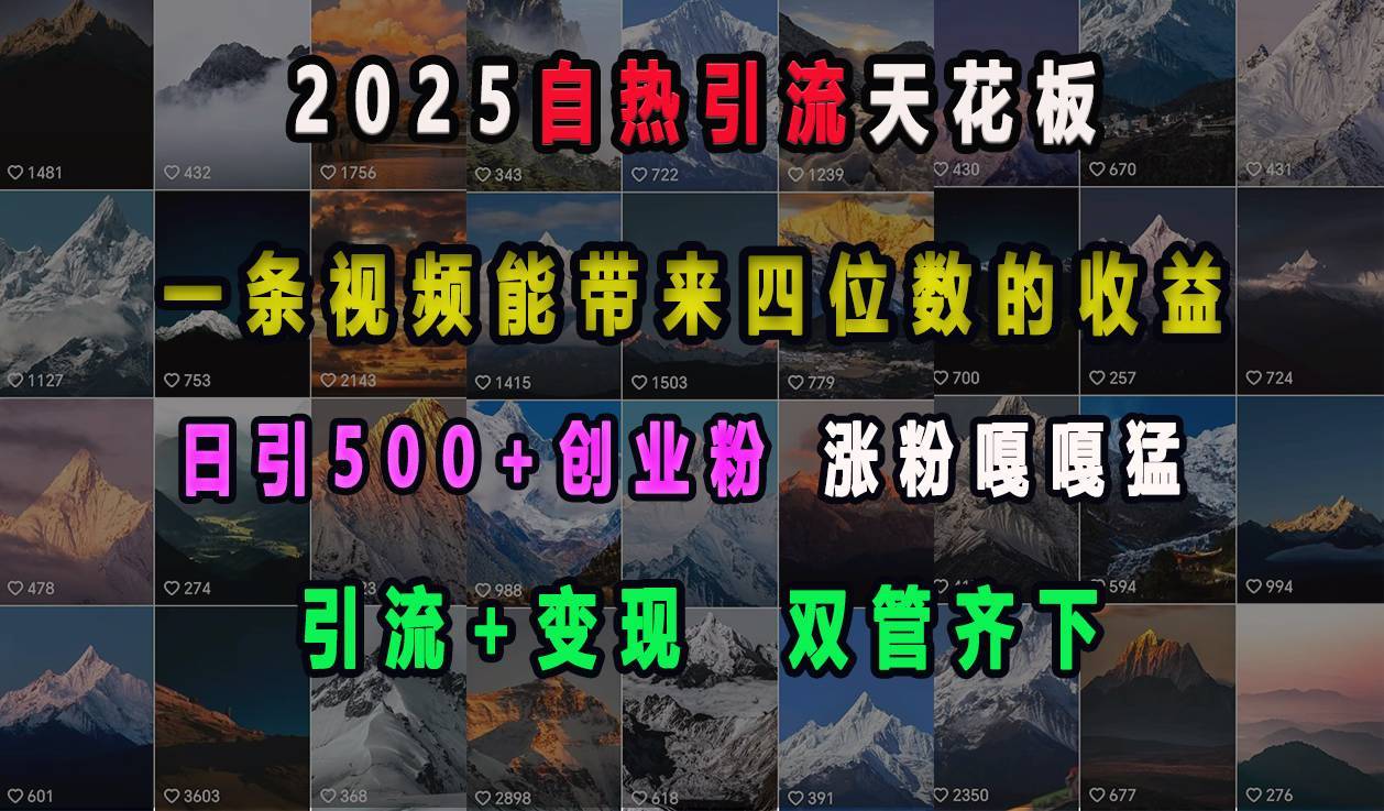 2025自热引流天花板，一条视频能带来四位数的收益，引流+变现双管齐下，日引500+创业粉，涨粉嘎嘎猛-搞钱帮