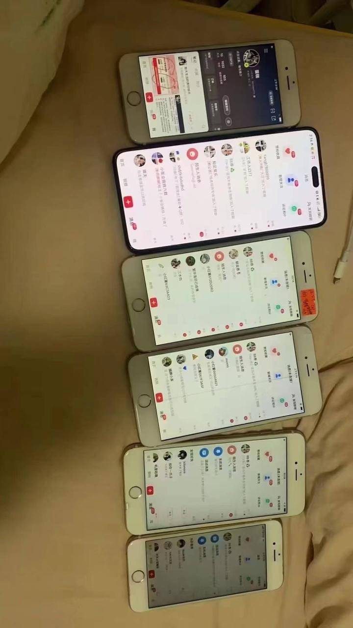 小红书，抖音，蝴蝶号三大平台全自动精准引流获客，每天吸引目标客户99+-搞钱帮